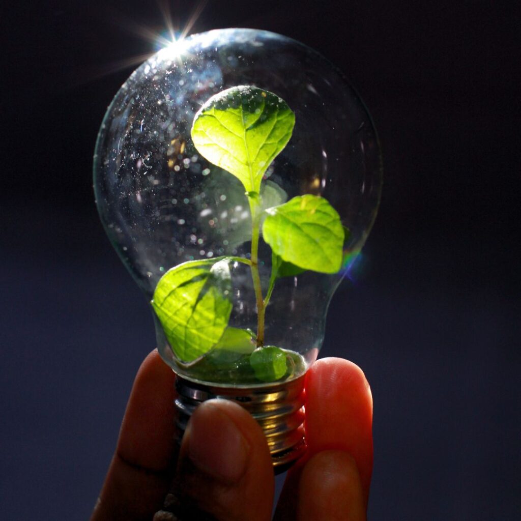 Prolinea - Sustentabilidade